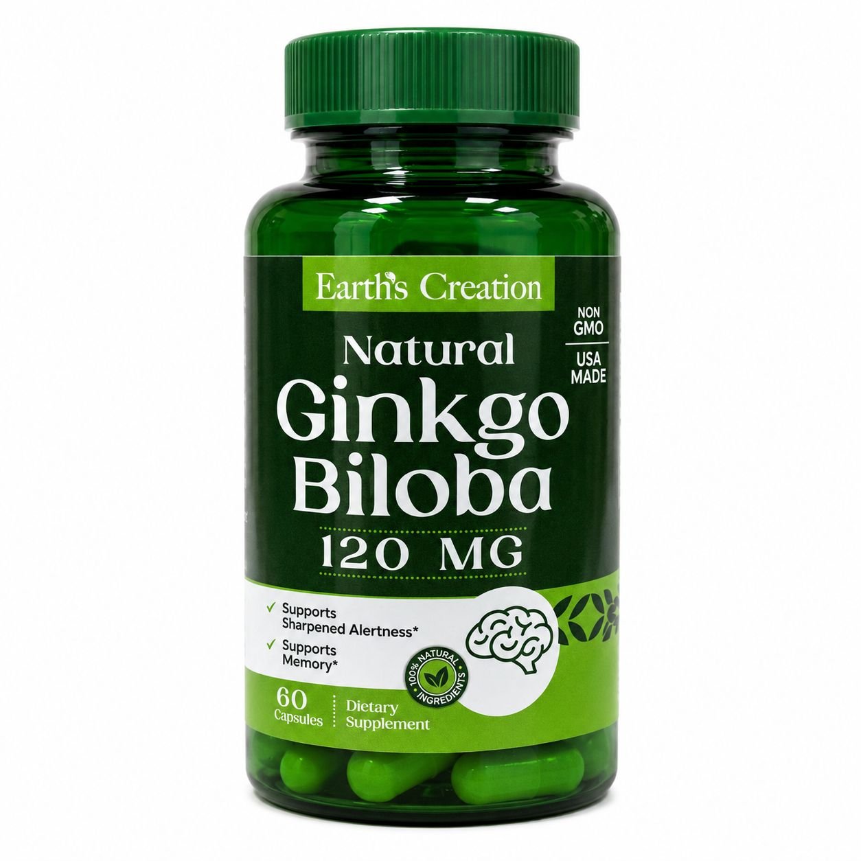 GINGO BILOBA EARTHS CREATION 120MG/60CAP